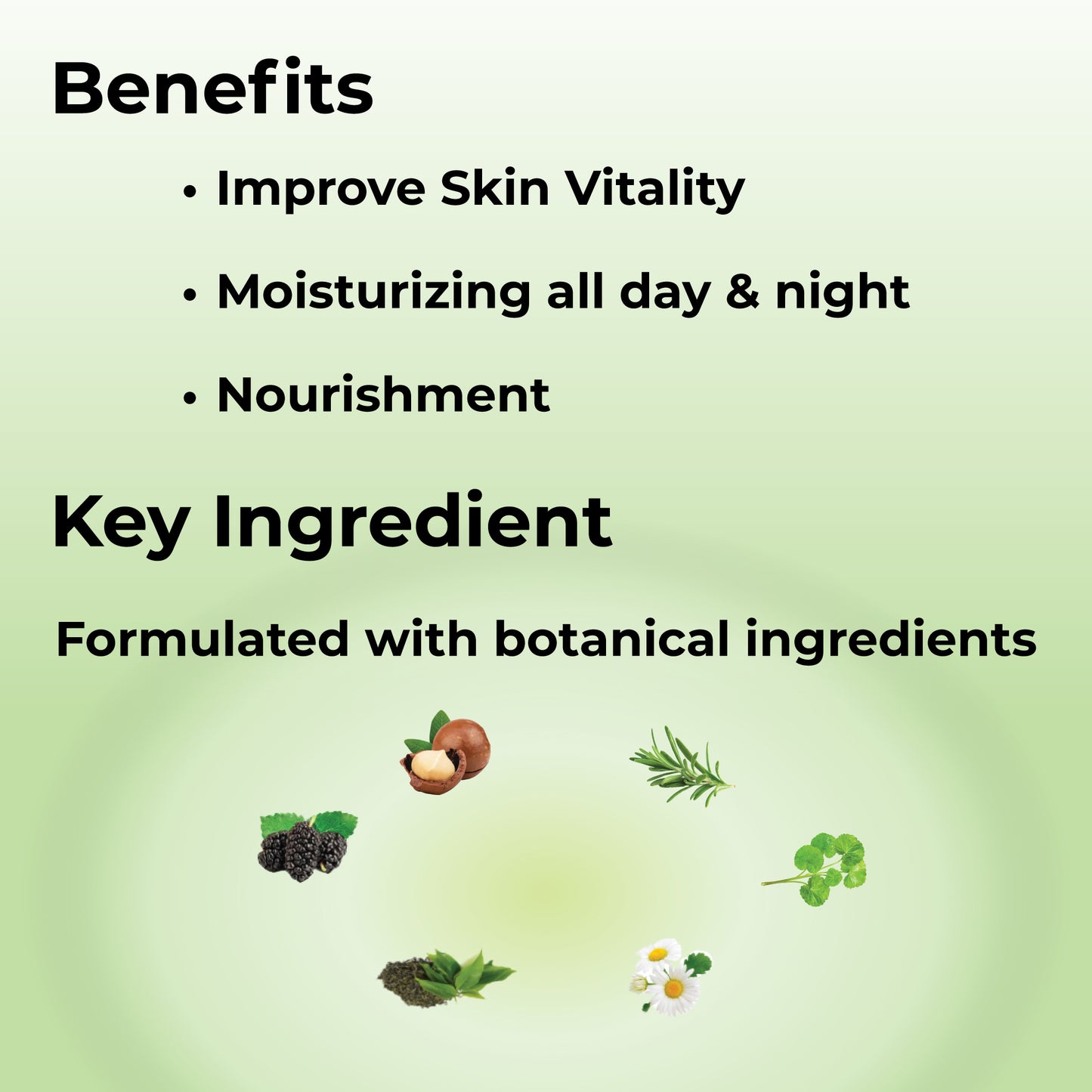 Vitanic All Day Moisture Emulsion