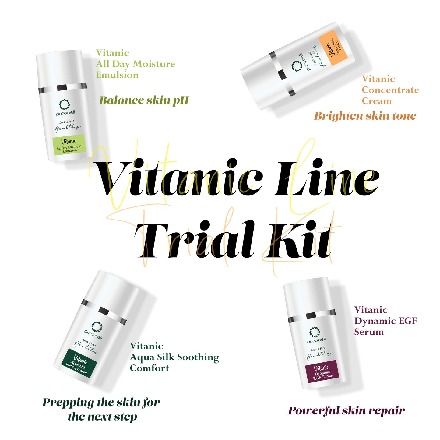 VITANIC MINIATURE SIZE SET IN A BOX - purocell