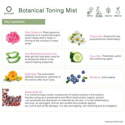 ☀️ Buy 3 Botanical Toning Mists & Get 1 FREE!