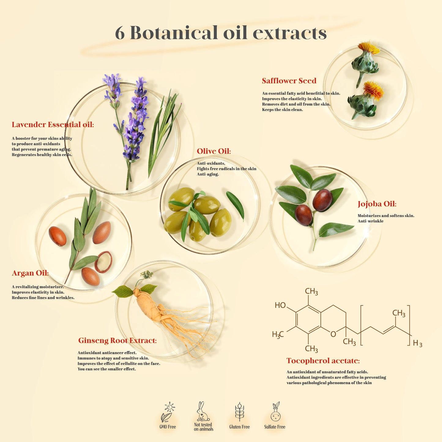 2 in 1 Massage Cleansing Cream + 2 Free Bonus